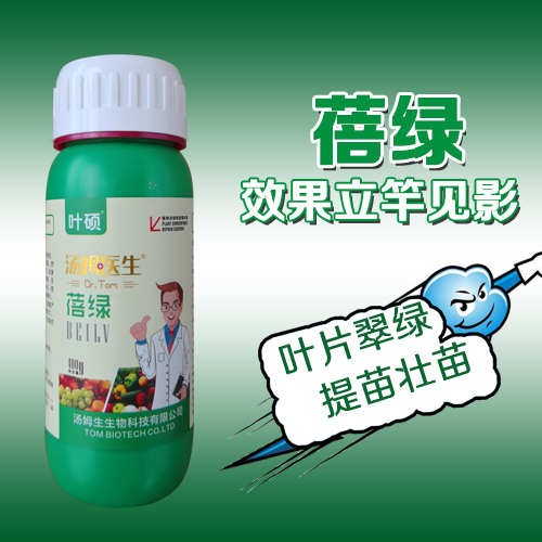 蓓绿.jpg