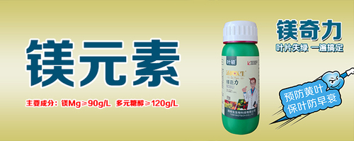 镁1.jpg