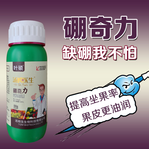 硼奇力.jpg