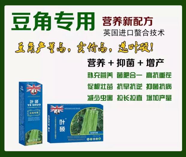 如何让豆角多结荚,不早衰? 如何让豆角多结荚,不早衰?