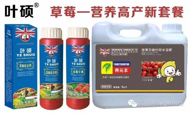 叶硕草莓专用套餐肥 叶硕草莓专用套餐肥