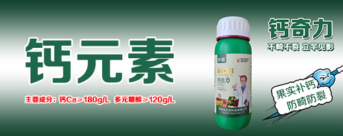 gao 1.jpg